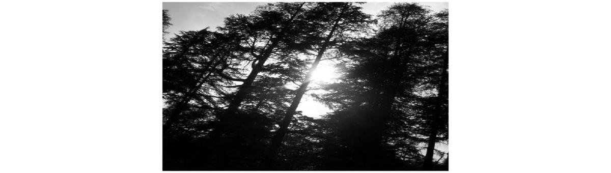 5 blissful things to do in Manali | Manali travel guide