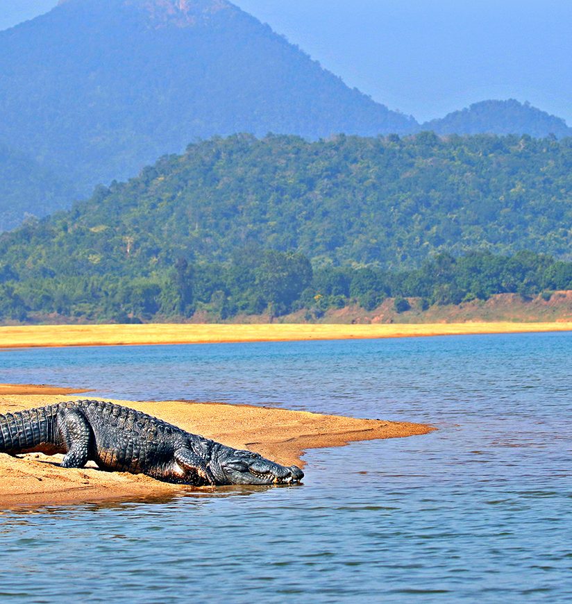 satkosia-bhubaneshwar-odisha-city-ff