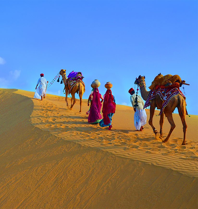 Two cameleers and women with camels walking on sand dunes of thar desert against blue sky , Jaisalmer, Rajasthan, India