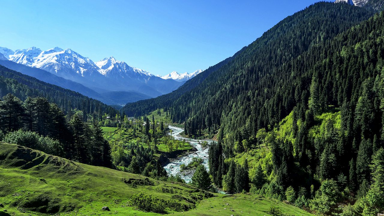 6-pahalgam-wildlife-sanctuary-pahalgam-jammu-and-kashmir-city-hero-new