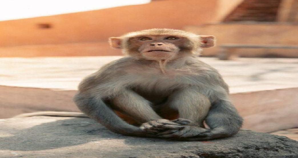 in.gov.incredibleindia.core.models.impl.ImageUtilModelImpl@22a3a3b7