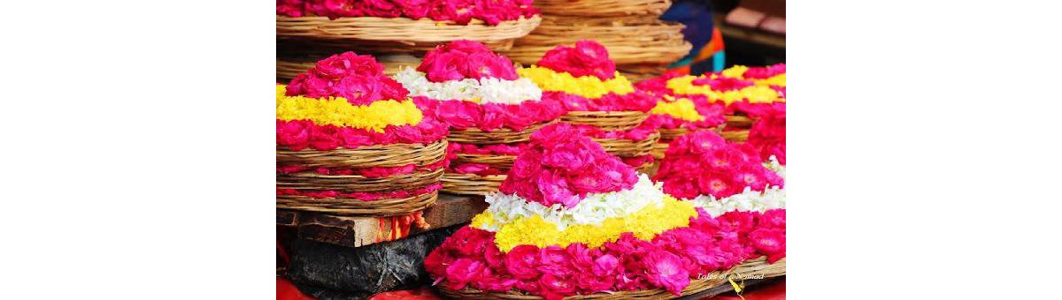 Ajmer: Dargah and Beyond