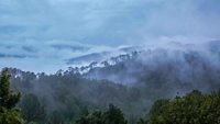 Clouds End-Mussourie-uttarakhand-hero