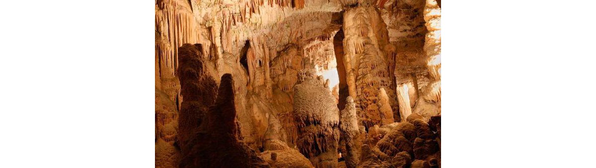 5 Compelling Reasons to Visit the Andamans This Monsoon