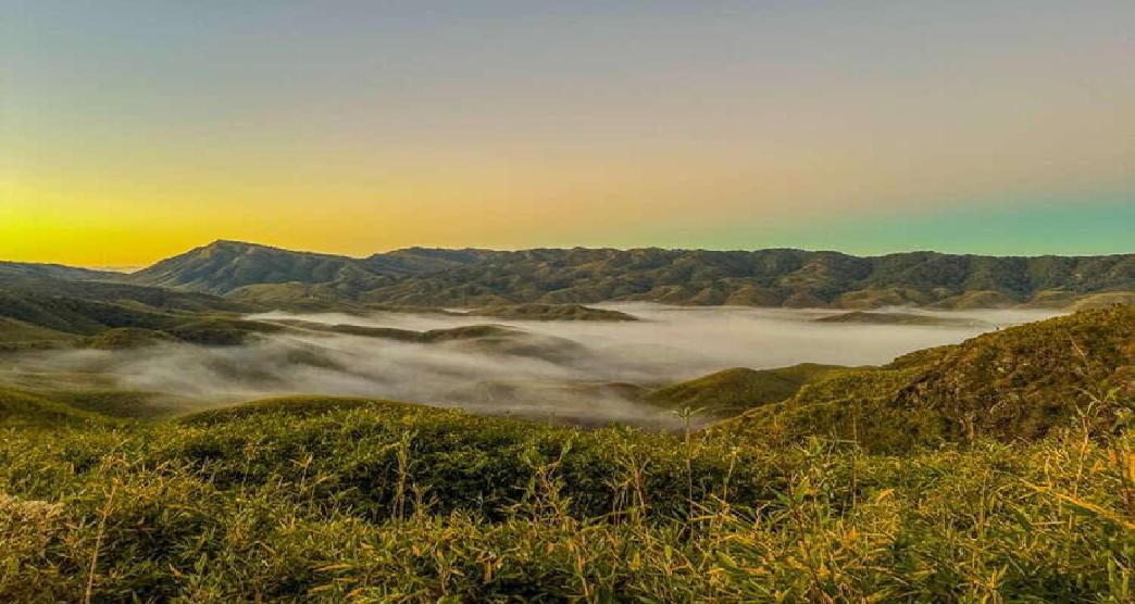 dzukou-valley-nagaland-guide-to-hidden-valley5-about