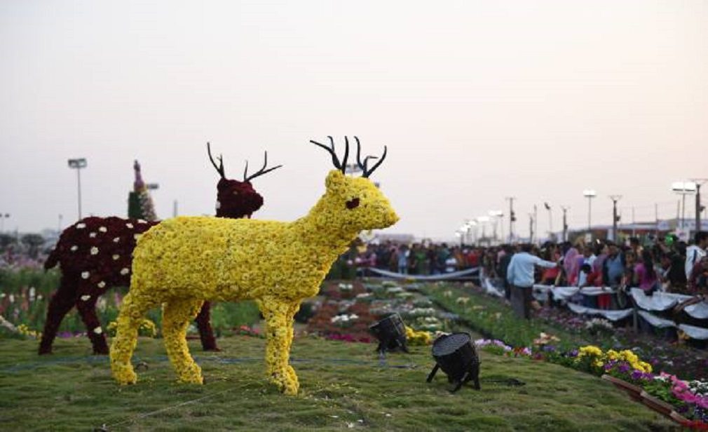 Flower-Show-Left_Side-Image