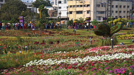 One of the most vibrant events in the calendar year, the Ahmedabad Flower Show - 2017 is a mesmerizing spectacle bringing to the fore the stunning beauty of nature. Creating an enchanting combination of fragrance and colours, the flower show spreads out across 65000 sq. meters like an elegant carpet showcasing the world’s most beautiful flowers, including more than 750 species and around 3 lakh flowers, plants and trees. The flower show also has more than 20 nurseries with plants, seeds, saplings and gardening tools on for sale. Adding art to beauty, the show also featured 30 designer sculptures made from flowers and plants, ranging from nocturnal animals to dinosaurs to birds in the pond and a peacock, the national bird of India. A greenhouse exhibition area was the core attraction of the show, which shared a rich concoction of unusual flowers ranging from purple Orchids to Aglaonema to Dracenea.