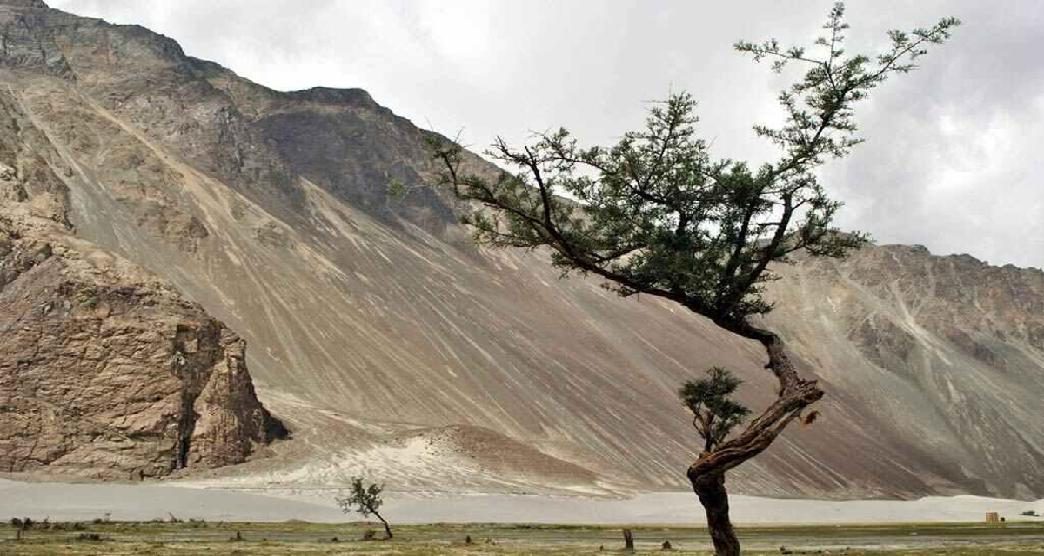 havent-taken-a-road-trip-to-ladakh3-about