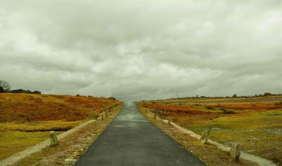 eco-park-cherrapunjee-meghalaya-1-attr-about