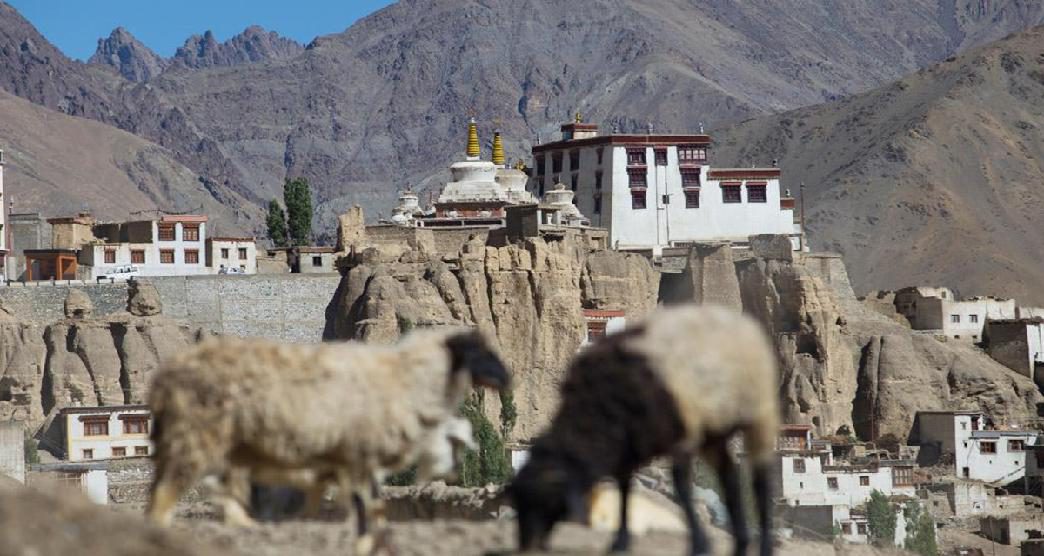 monasteries-in-ladakh4-about