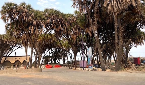 Hokka Tree scenic view at diu