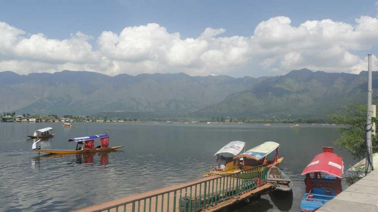 picture-1.jpg