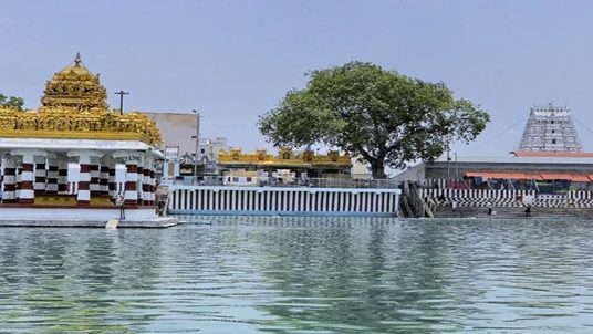 right-image