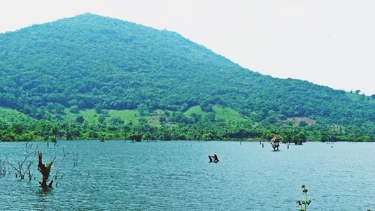 RightSideImage