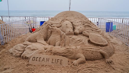 Sand-Art-Festival(536-X-302).jpg