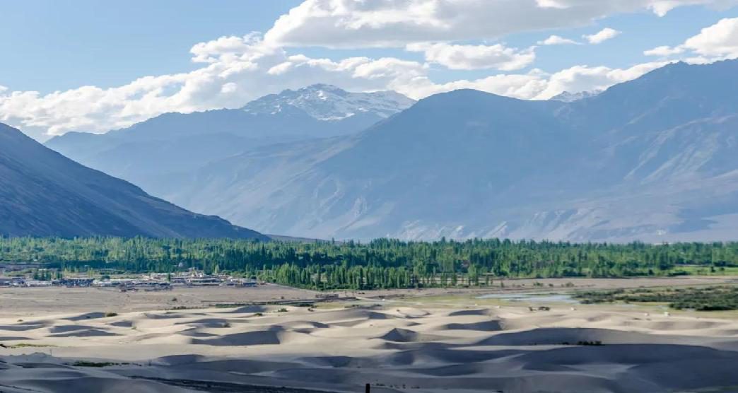 the-orchard-of-charm-in-nubra-valley5-about