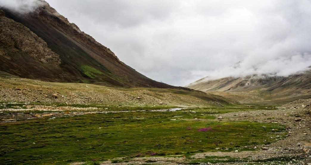 the-orchard-of-charm-in-nubra-valley7-about