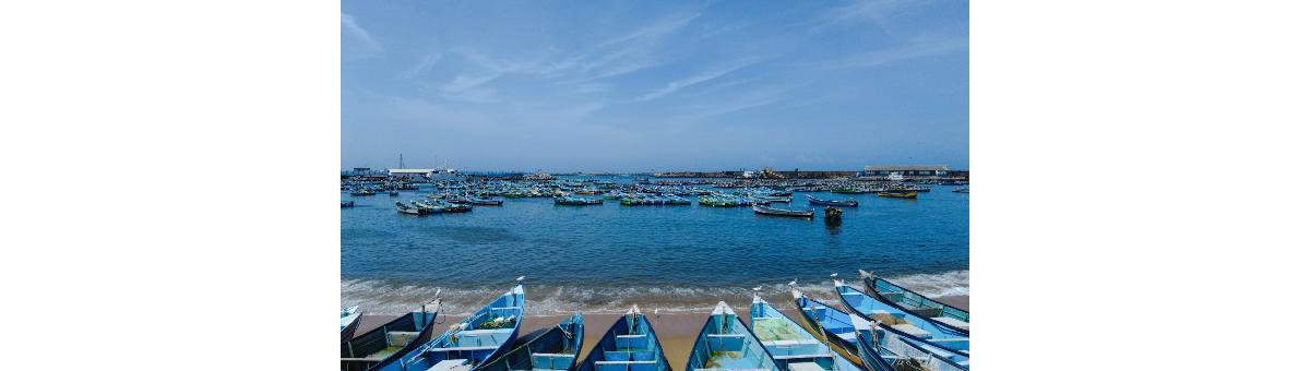 Thiruvananthapuram Travel Guide