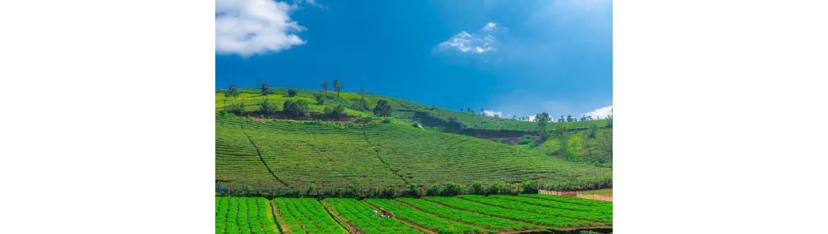 Weekend getaways from Coimbatore
