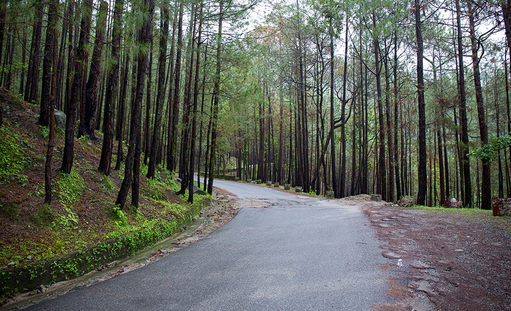 Road to Lansdowne Uttarakhand 