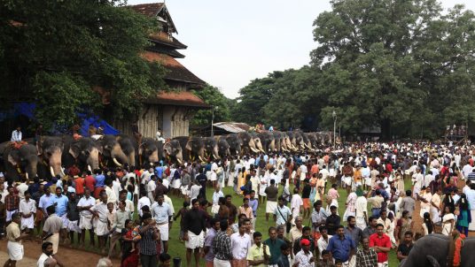 aanayuttu [536×302px] - 1