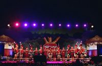 adivasi mela (1)