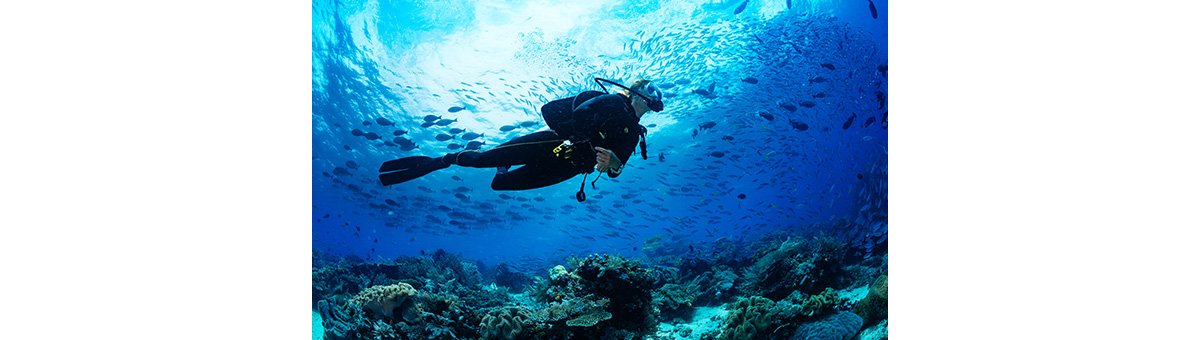 Soaring in paradise: A guide to thrilling adventures in Goa
