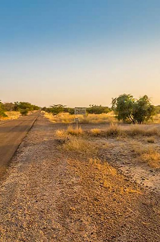 akal-wood-fossil-park-jaisalmer-rajasthan-attr-nearby