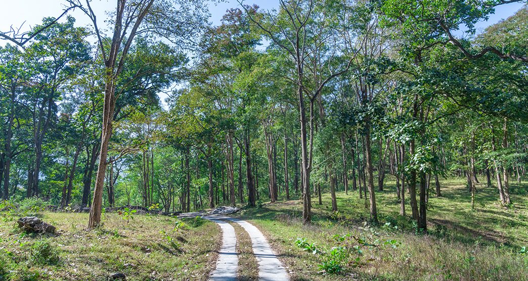 anamalai-tiger-reserve-coimbatore-tamil-nadu-attr-about