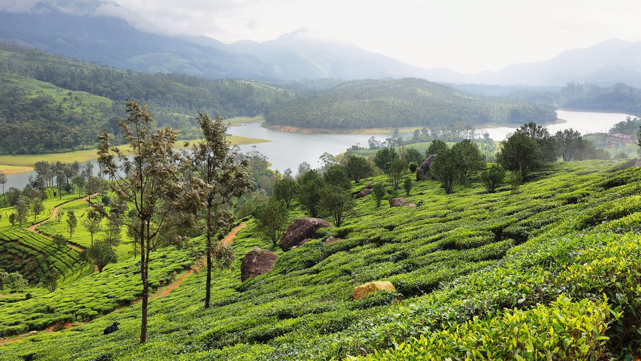 anayirankal-munnar-kerala-attr-hero