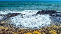 anjuna-beach-goa-3-musthead-hero