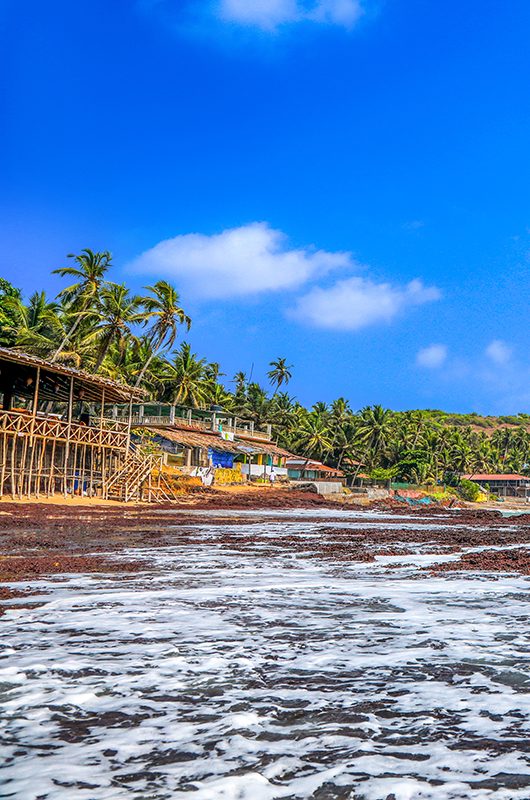 anjuna-beach-goa-goa-anjuna-beach--goa-1-attr-nearby