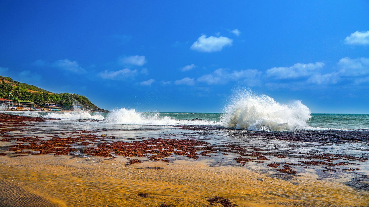 anjuna-beach-goa-goa-anjuna-beach--goa-2-attr-hero