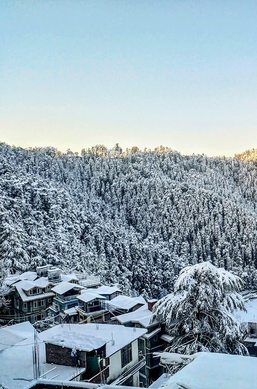 Annandale Ground as seen on a sunny morning after days of heavy snowfall.