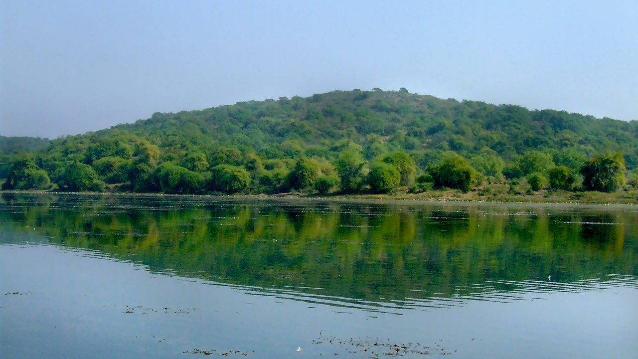 ansupa-lake-cuttack-odisha-2-attr-hero