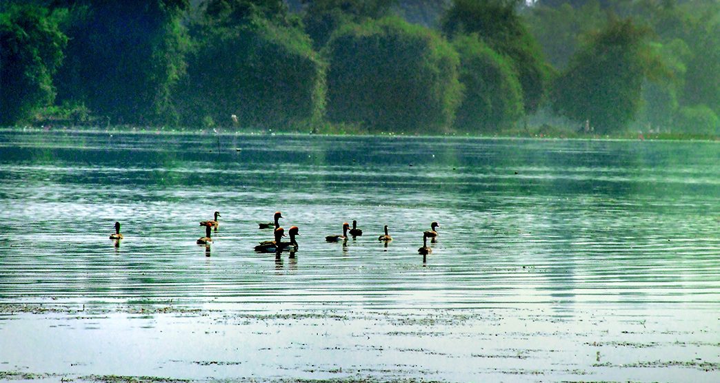 ansupa-lake-cuttack-odisha-3-attr-about