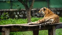 arignar-anna-zoological-park-chennai-tamil-nadu-1-new-attr-hero