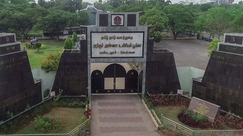 Chennai Chronicles – 5 Days