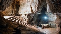arwah-cave-cherrapunjee-meghalaya-2-attr-hero