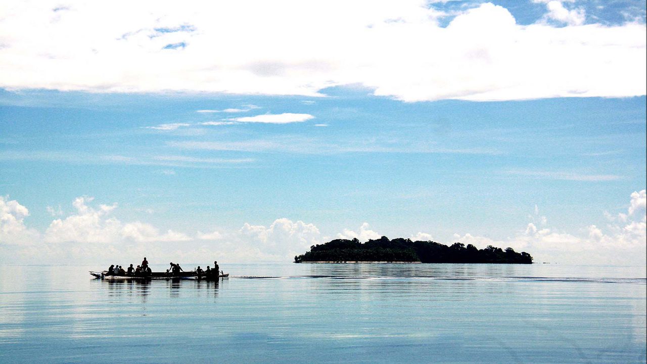 avis-island-rangat-andaman-&-nicobar-islands-aves