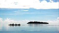 avis-island-rangat-andaman-&-nicobar-islands-aves