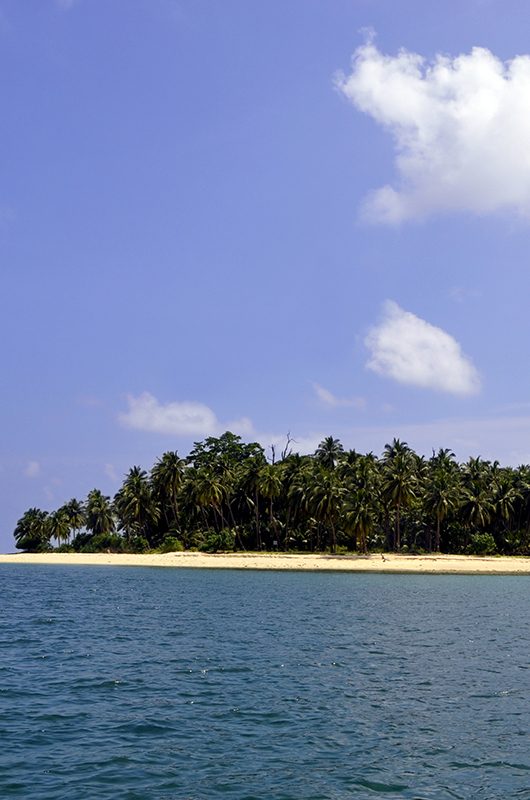 avis-island-rangat-andaman-nicobar-islands-1-attr-nearby.jpg