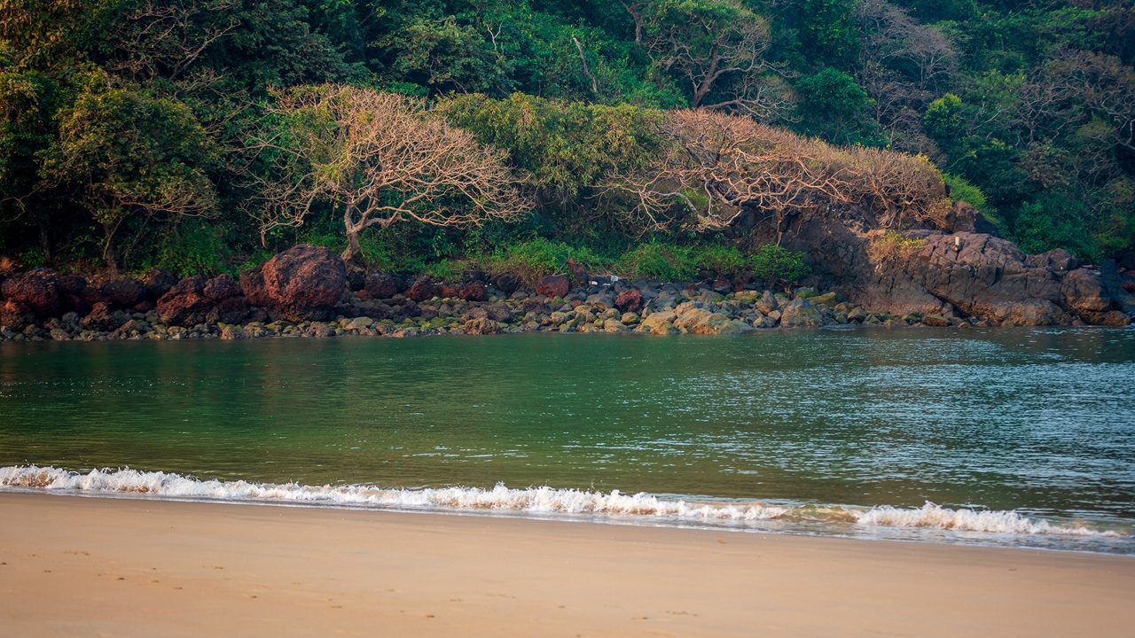 baga-beach-goa-5-musthead-hero