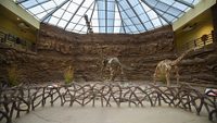 balasinor-fossil-park-balasinor-gujarat-5-attr-hero