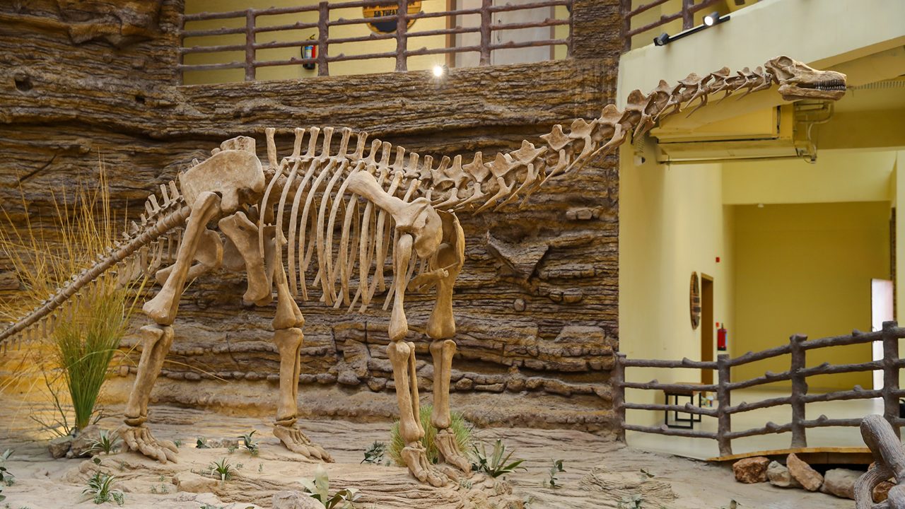 balasinor-fossil-park-balasinor-gujarat-6-attr-hero