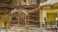balasinor-fossil-park-balasinor-gujarat-6-attr-hero