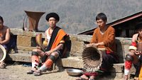 bamboo-cane-mokokchung-nagaland-blog-art-hero