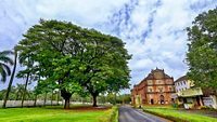 basilica-of-bom-jesus-goa-1-musthead-hero