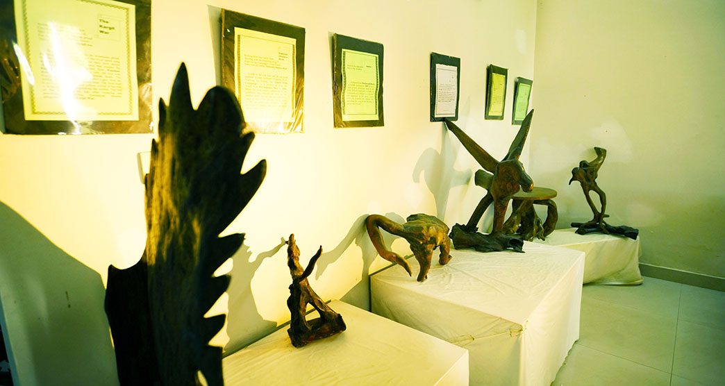 bay-island-driftwood-museum-kumarakom-kerala-attr-about