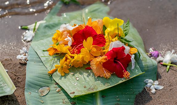 Biju is one of the major festivals of the Chakma tribal community. This festival is celebrated on the last two days of the Bengali year and on New Year's Day.